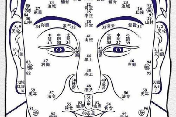 1990年出生的人命格解析：揭示你的命运特征与发展方向