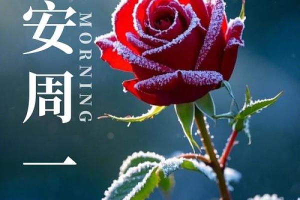 1970年属狗人：情感与事业的完美平衡之道