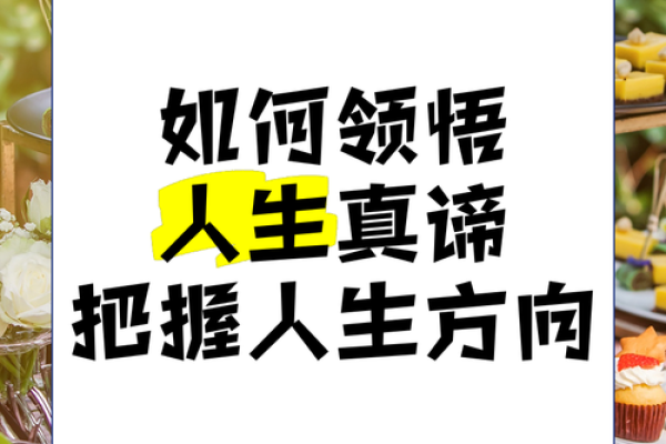 手心手背有肉，命运的真谛解析与人生哲学探讨