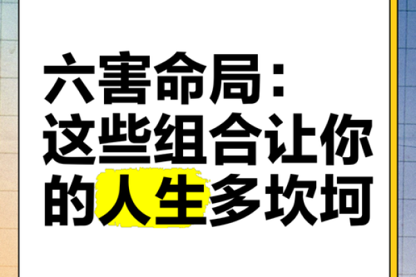 命局地支相合：探寻人生中的契机与机缘