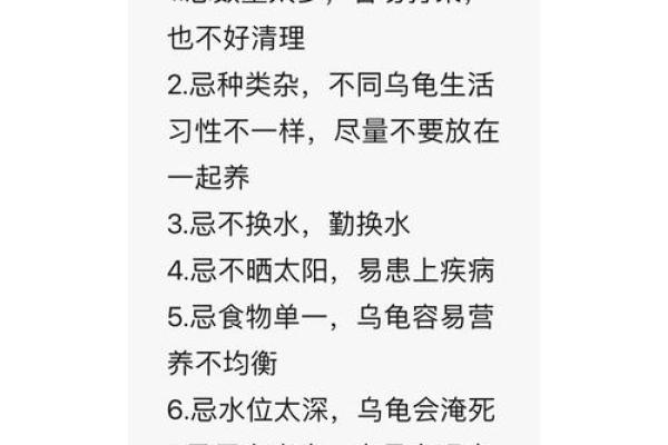 适合养乌龟的人群分析：让生活更和谐的陪伴选择