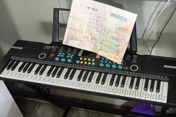 零命琴与二命琴的巅峰对比：音乐之路的启程与升华