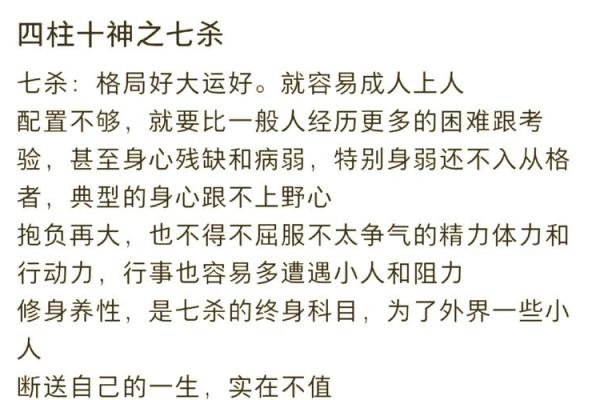 2024年龙年与五行命理的巧妙结合，探索人生机遇与挑战的智慧