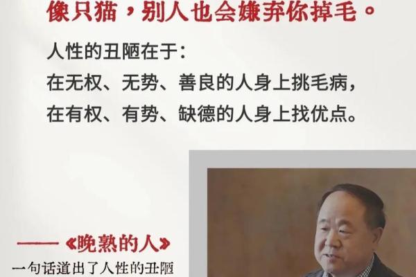 温柔吗？拿命换的是什么，探讨情感中的牺牲与价值