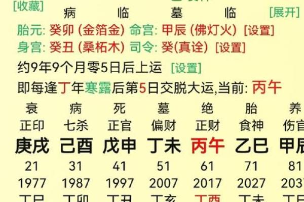 地支子午相冲对命理的影响与解析