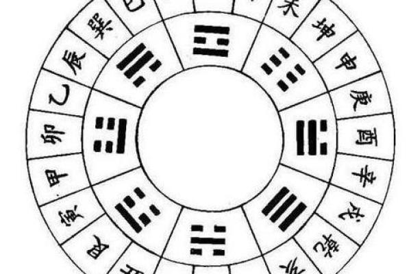 地支子午相冲对命理的影响与解析