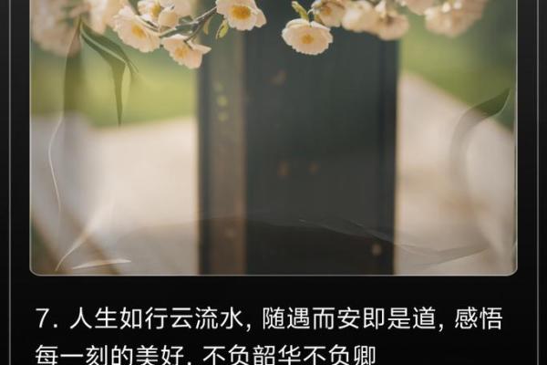 四季更迭，命运如风：从自然感悟人生智慧