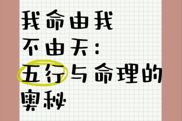 命运之谜：为何唯有尼姑能解？探讨命理的深层奥秘