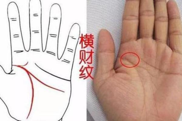 74年虎属相的命理解析：探索你的生命之路与机遇