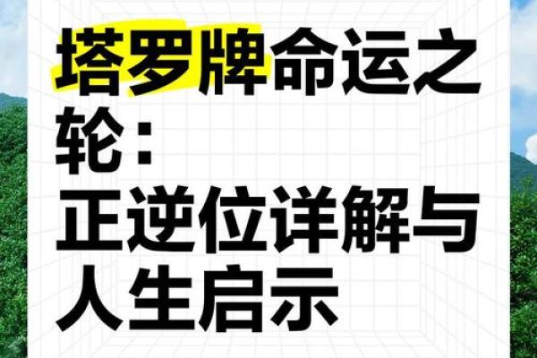 天帝星入命：命运之轮的启示与生命的引导