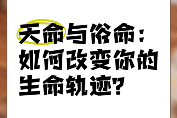 根据什么人有什么命，揭示人生轨迹与命运之谜