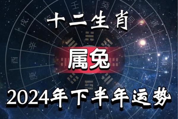 2023兔年运势解析：你属于哪种命？一起来探讨吧！