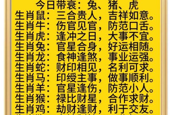 属相与老年运势：女性的命理探秘
