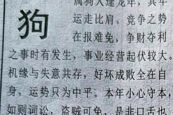 揭秘54属狗人的命格与人生轨迹