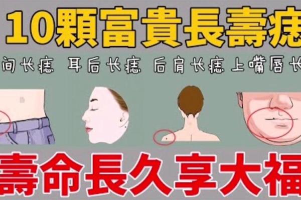 1975年金兔命的特点与命理分析：解密命缺与完善之道