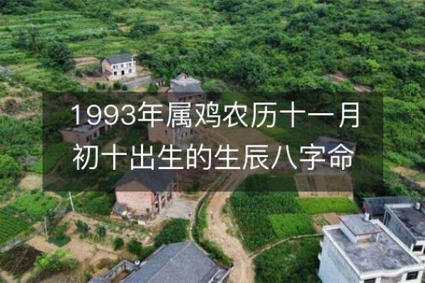 解析1993年出生者的命理特点与所缺失元素的影响