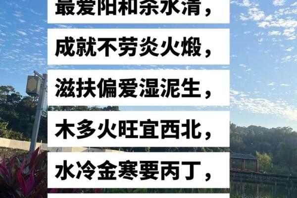 火旺金旺命理解析：揭示与火金相生的命格特征与人生智慧