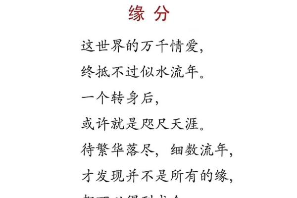深情命短：揭示那些短暂而深情的灵魂性格特征