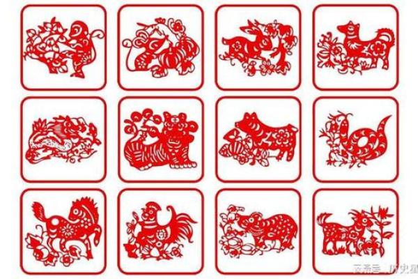属相与老年命运：哪些生肖女性的晚年生活更幸福？