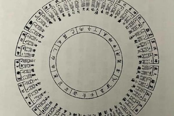 甲命与壬命的神秘解析：命理中的阴阳之道与人生哲学