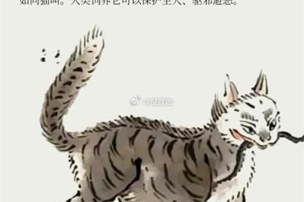命里带天狗意味着什么？解析天狗的神秘象征与影响