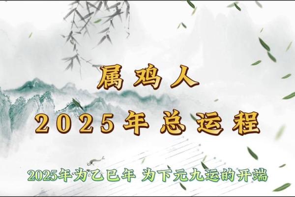 1993年属鸡的命运解析：人生的机遇与挑战