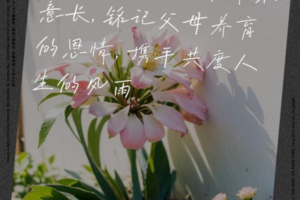 父母对我的深情厚谊，源自爱与责任的交织