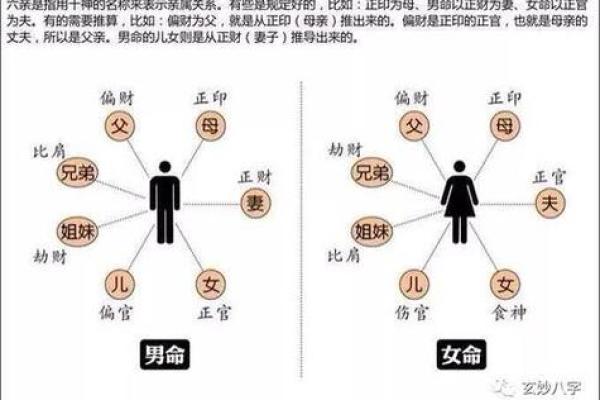 戊申女命：命理解析与人生导航