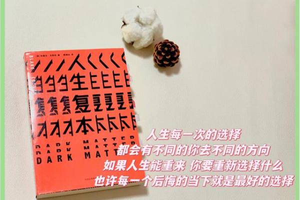 1998年2月12日出生的人命运解析：探索人生的秘密与机会