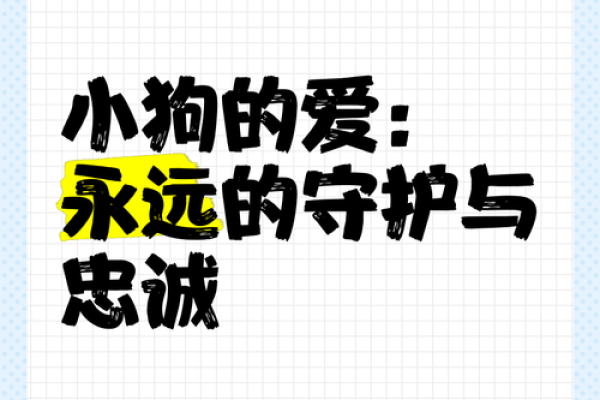 1922年出生的狗年命：忠诚、勇敢与智慧的象征