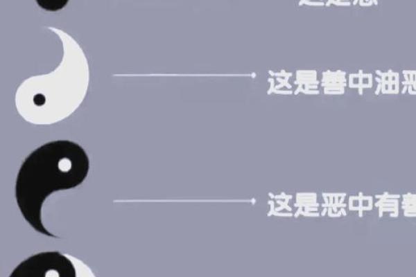 东西四命：命理中的神秘分界与个体人生的启示