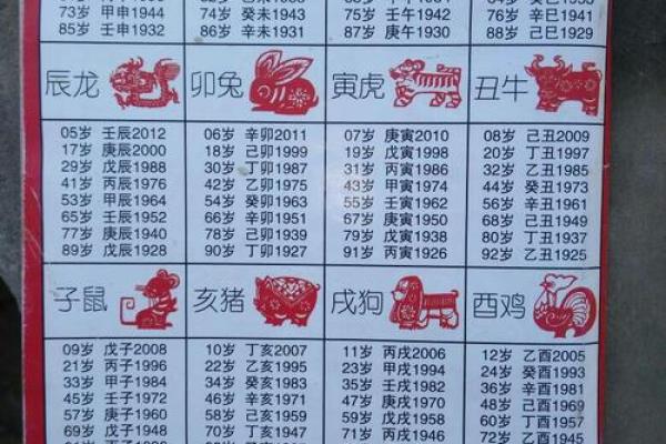 1982年属狗人的命运与人生指南