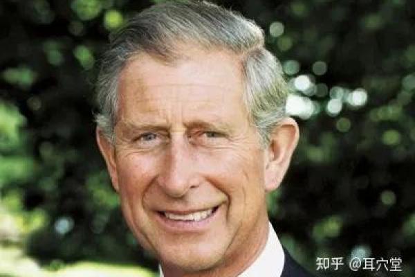 耳朵肥大柔软：天赋与性格背后的秘密解读