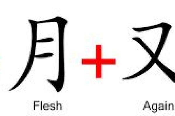 上门女婿的命格解析：他究竟是怎样的人？