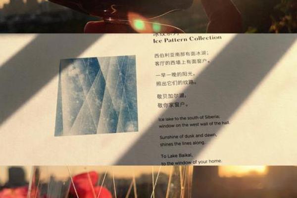 火中金命：探索阳光与坚韧的完美结合