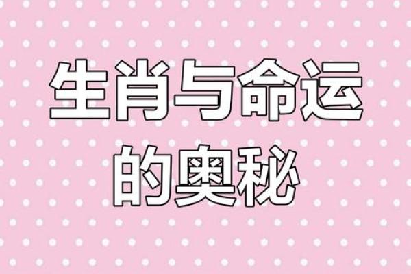 2038年生肖与命理解析：探寻命运的奥秘与人生的方向