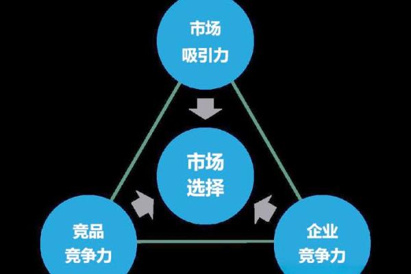 探寻企业便命：提升竞争力的关键之道