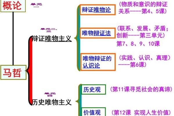 命字旁的部首与生命奥秘探索：追寻生命的真谛与价值