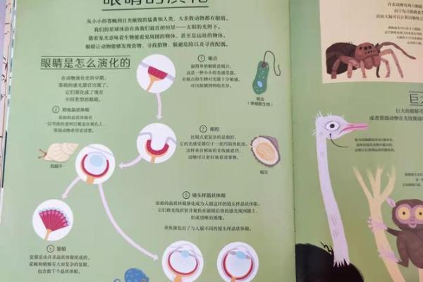 猴人1992命运解析：探索生命的奇妙旅程与机遇