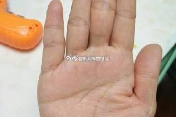 断掌纹男人的命运与运势解析，解密人生的好运与挑战！