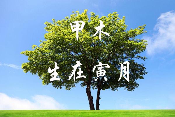 揭秘甲木命最佳佩饰：如何选择吉祥物与饰品？