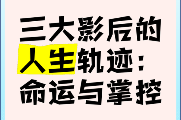 命运之轮：探索2002年11月12日出生者的个性与人生轨迹
