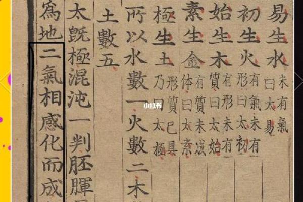 什么样的命局适合当老板？深入探讨命理与职业发展的关系