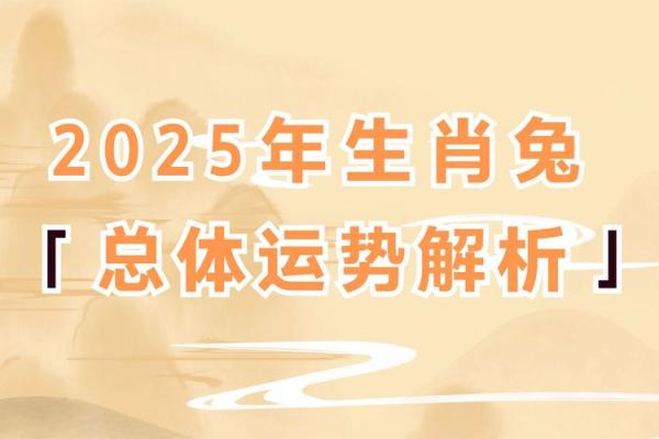 2017年：命理角度解析每个生肖的运势与发展机会