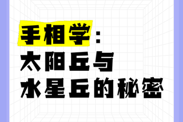 水星命主：探索适合水星风格的多彩生活方式