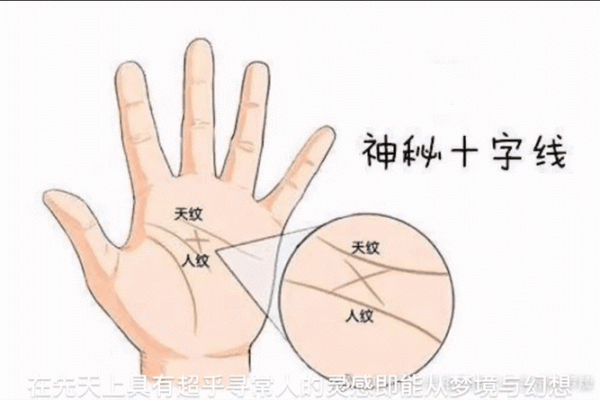 掌纹揭秘：通过手掌分析命运与个性的奥秘