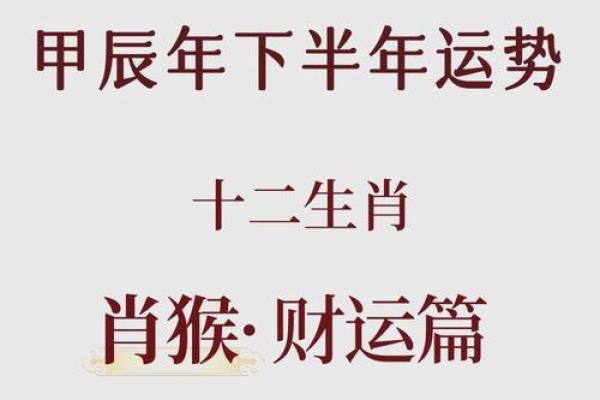 1980年属猴的命运解析：命缺什么与生活指南