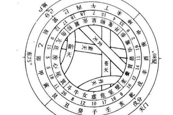 东四命与西四命的命理对比与应用