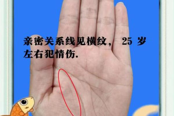 探寻命运的指引：生活中的命有与价值的思考