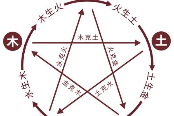 了解木命：解析不同生日的人如何与木命相融
